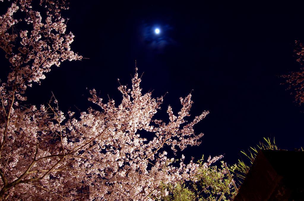 Hotel Hoeiso Hakone Exterior foto